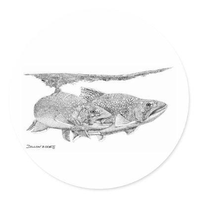 Brook Trout Round Sticker by WildlifeInk