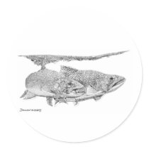 Brook Trout stickers