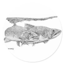 Brook Trout stickers