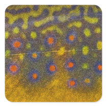 Brook Trout - Stickers stickers