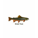 Brook Trout (titled) shirt