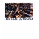 Brook Trout