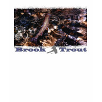 Brook Trout t-shirts by brooktroutdesign Brook Trout t-shirts