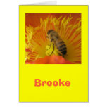 Brooke Cards