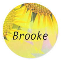 Brooke stickers