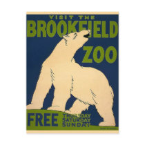 Brookfield-Polar Bear Postcard