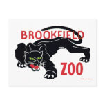 Brookfield Zoo Black Leopard Postcard