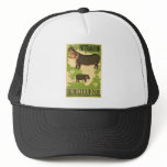 Brookfield Zoo Hats