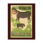 Brookfield Zoo Postcards
