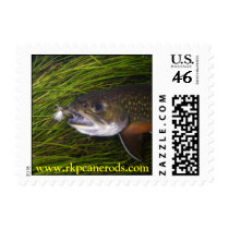 Brookie Postage postage