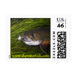 Brookie Postage
