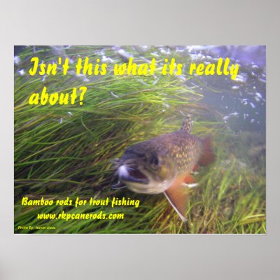 Brookie Poster by rkp480