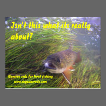Brookie Poster posters