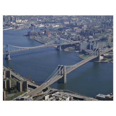 Brooklyn and Manhattan from the air, New York, USA Custom Flyer by beautifulclicks