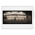 Brooklyn Baseball Club Photo 1913 cards