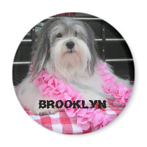 BROOKLYN PINK HAWAII MAGNET by vjzc83 BROOKLYN PINK HAWAII MAGNET