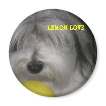 BROOKLYN RULES LEMON LOVE MAGNET by vjzc83 BROOKLYN RULES LEMON LOVE MAGNET