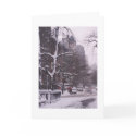Brooklyn Snow cards