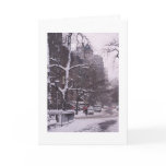 Brooklyn Snow cards