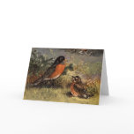 Brooks' Varied Thrush Note Card
