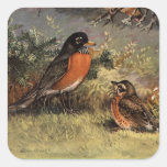 Brooks' Varied Thrush Square Sticker
