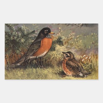 Brooks' Varied Thrush Rectangle Sticker < < Magnificent Frigatebird