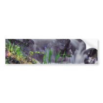 Brooks Streams bumper stickers by lifesphere Brooks Streams bumper stickers