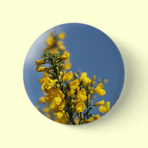 Broom Scotch Wildflowers buttons