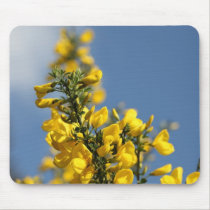 Broom Scotch Wildflowers mousepads