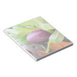 Brote del Hellebore Libretas Para Notas