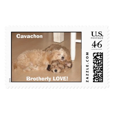 Brothely LOVE! Postage