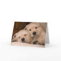 Brother Love cards