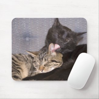 Brotherly Love, mousepad, cats, cute, preening, computer accessory, feline, pet