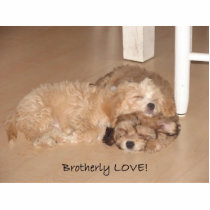 Brotherly Love photo sculptures
