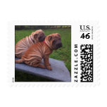 Brotherly Love Postage Stamps