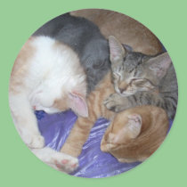 Brotherly Love stickers