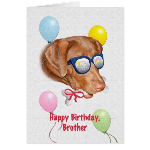 Brother's Birthday Card With Labrador Dog 