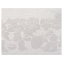 Brown Algeria, desert roses flowers Personalized Letterhead
