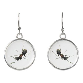 Brown and Black Ants Insect Drop Earrings