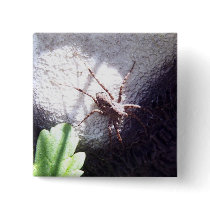 Brown And Black Spotted Spider Button by CreatureCreations Brown And Black Spotted Spider Button
