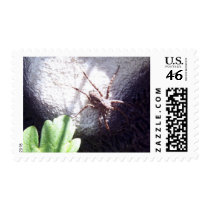 Brown And Black Spotted Spider Postage Stamps