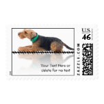 Brown and Black Welsh Terrier Laying on Zig Zag Stamp
