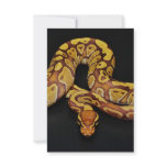 Brown and Gold Ball Python Invitations