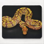 Brown and Gold Ball Python Mousepad