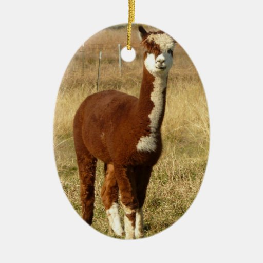 brown and white alpaca christmas tree ornaments zazzle brown and white alpaca christmas tree ornaments zazzle