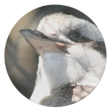 brown and white bird head view dinner plate