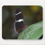 Brown and White Butterfly Mouse Mats