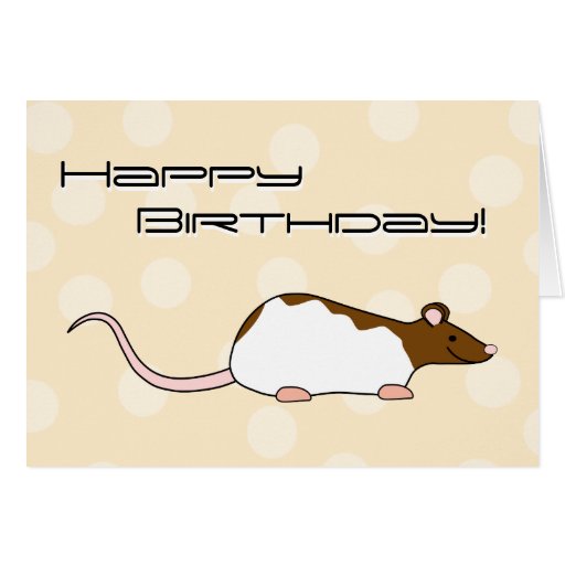 Brown And White Hooded Pet Rat Birthday Card Zazzle