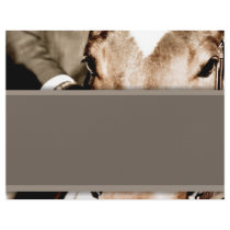 Brown and White Horse Letterhead