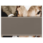 Brown and White Horse Letterhead